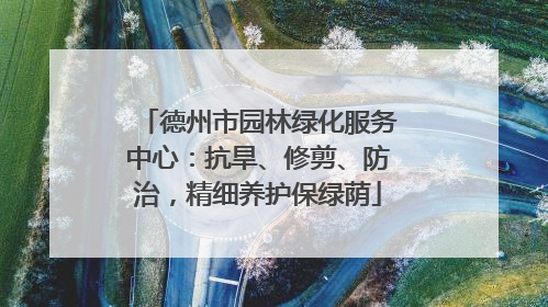 德州市园林绿化服务中心：抗旱、修剪、防治，精细养护保绿荫