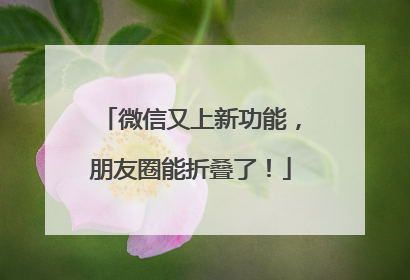 微信又上新功能，朋友圈能折叠了！