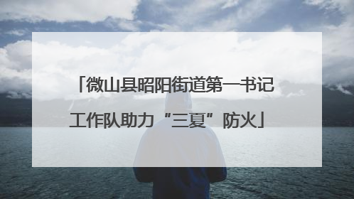 微山县昭阳街道第一书记工作队助力“三夏”防火