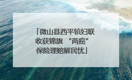 微山县西平镇妇联收获锦旗 “两癌”保险理赔解民忧