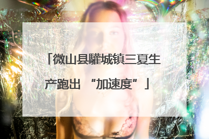 微山县驩城镇三夏生产跑出 “加速度”