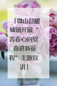 微山县驩城镇开展“青春心向党 奋进新征程”主题宣讲