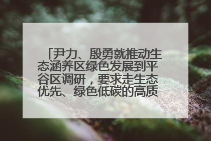 尹力、殷勇就推动生态涵养区绿色发展到平谷区调研，要求走生态优先、绿色低碳的高质量发展之路
