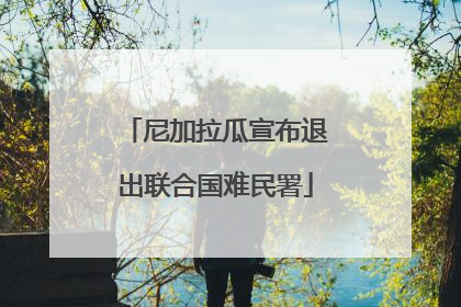 尼加拉瓜宣布退出联合国难民署