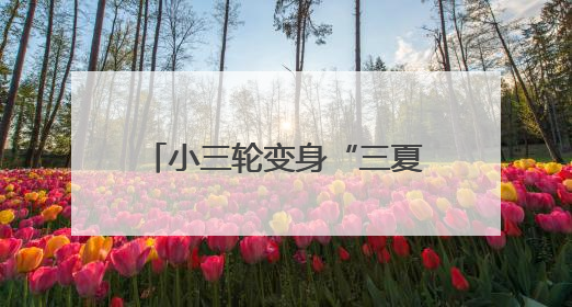 小三轮变身“三夏”移动服务站 暖心服务直达田间地头