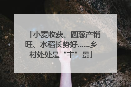 小麦收获、圆葱产销旺、水稻长势好……乡村处处是“丰”景