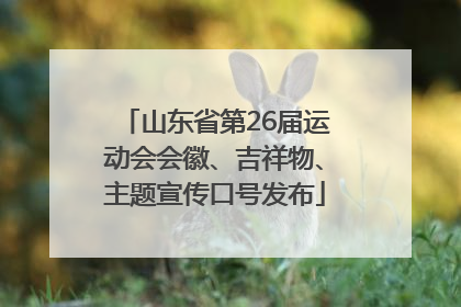 山东省第26届运动会会徽、吉祥物、主题宣传口号发布