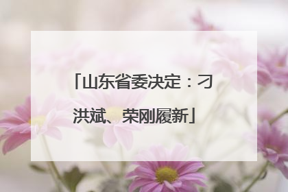 山东省委决定：刁洪斌、荣刚履新