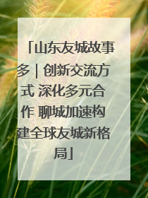 山东友城故事多｜创新交流方式 深化多元合作 聊城加速构建全球友城新格局