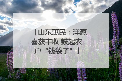 山东惠民：洋葱喜获丰收 鼓起农户“钱袋子”