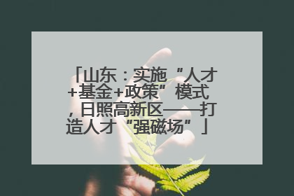 山东：实施“人才+基金+政策”模式，日照高新区——打造人才“强磁场”