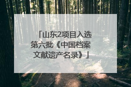 山东2项目入选第六批《中国档案文献遗产名录》