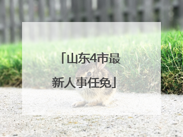 山东4市最新人事任免