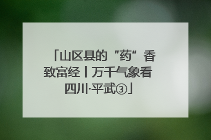 山区县的“药”香致富经丨万千气象看四川·平武③