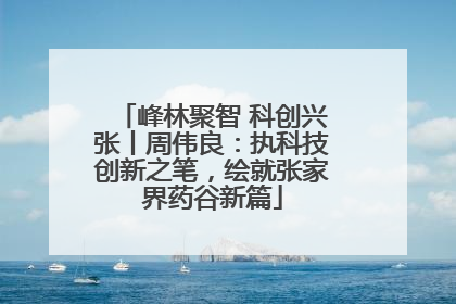 峰林聚智 科创兴张丨周伟良：执科技创新之笔，绘就张家界药谷新篇