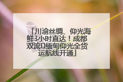 川渝丝绸、仰光海鲜3小时直达！成都双流⇌缅甸仰光全货运航线开通