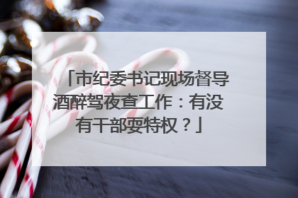 市纪委书记现场督导酒醉驾夜查工作：有没有干部耍特权？