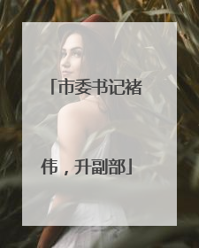 市委书记褚伟，升副部