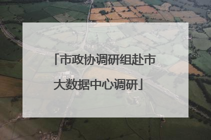 市政协调研组赴市大数据中心调研