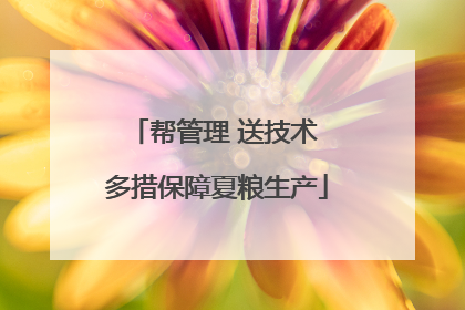 帮管理 送技术 多措保障夏粮生产