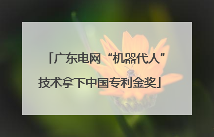 广东电网“机器代人”技术拿下中国专利金奖