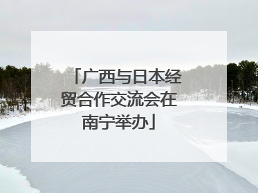 广西与日本经贸合作交流会在南宁举办