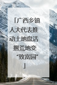 广西乡镇人大代表推动土地盘活 撂荒地变“致富园”
