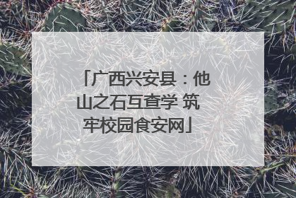 广西兴安县：他山之石互查学 筑牢校园食安网