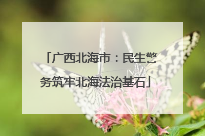 广西北海市：民生警务筑牢北海法治基石