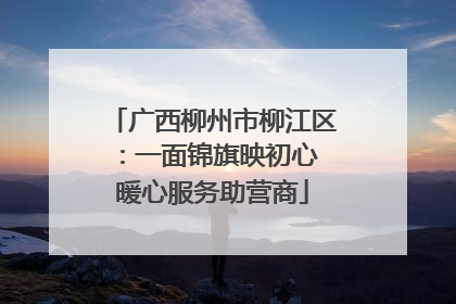 广西柳州市柳江区：一面锦旗映初心 暖心服务助营商