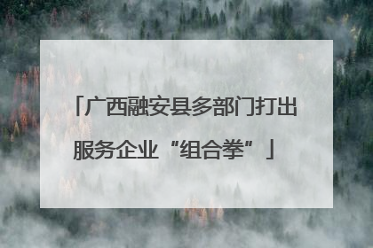 广西融安县多部门打出服务企业“组合拳”
