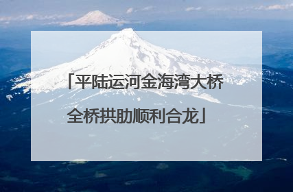 平陆运河金海湾大桥全桥拱肋顺利合龙