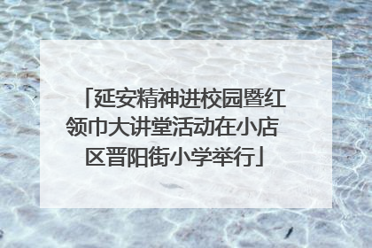 延安精神进校园暨红领巾大讲堂活动在小店区晋阳街小学举行