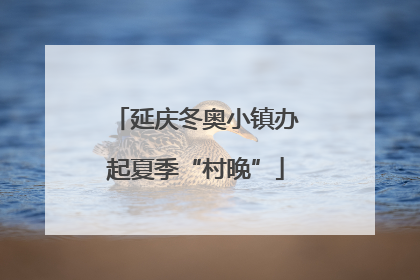 延庆冬奥小镇办起夏季“村晚”