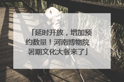 延时开放，增加预约数量！河南博物院暑期文化大餐来了