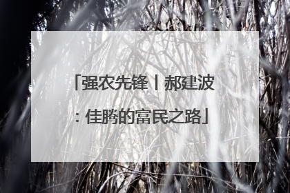 强农先锋丨郝建波：佳腾的富民之路