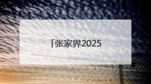 张家界2025年“5•29会员活动日”宣传服务活动暨托育服务宣传月活动启动