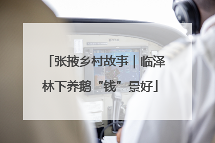张掖乡村故事｜临泽林下养鹅“钱”景好