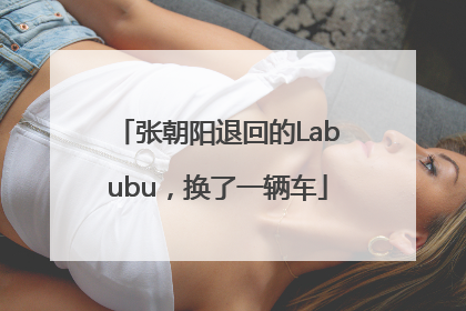 张朝阳退回的Labubu，换了一辆车