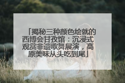 揭秘三种颜色绘就的西博会甘孜馆：沉浸式观赏非遗歌舞展演，高原美味从头吃到尾