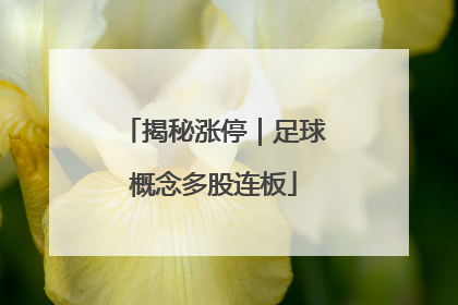 揭秘涨停｜足球概念多股连板