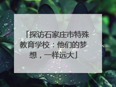 探访石家庄市特殊教育学校：他们的梦想，一样远大