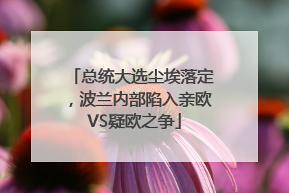 总统大选尘埃落定，波兰内部陷入亲欧VS疑欧之争