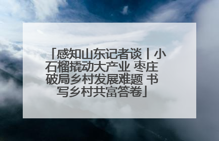 感知山东记者谈丨小石榴撬动大产业 枣庄破局乡村发展难题 书写乡村共富答卷