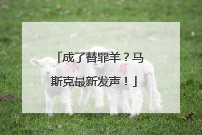 成了替罪羊？马斯克最新发声！