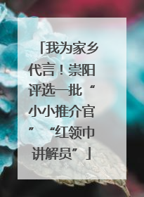 我为家乡代言！崇阳评选一批“小小推介官”“红领巾讲解员”