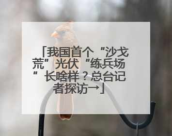 我国首个“沙戈荒”光伏“练兵场”长啥样？总台记者探访→