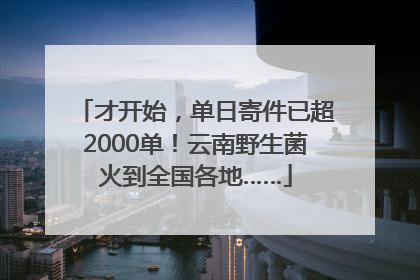才开始，单日寄件已超2000单！云南野生菌火到全国各地……