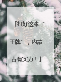 打好这张“王牌”，内蒙古有实力！