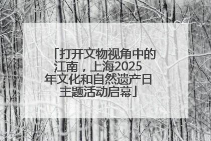 打开文物视角中的江南，上海2025年文化和自然遗产日主题活动启幕